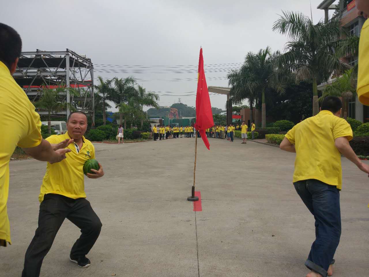 1.jpg