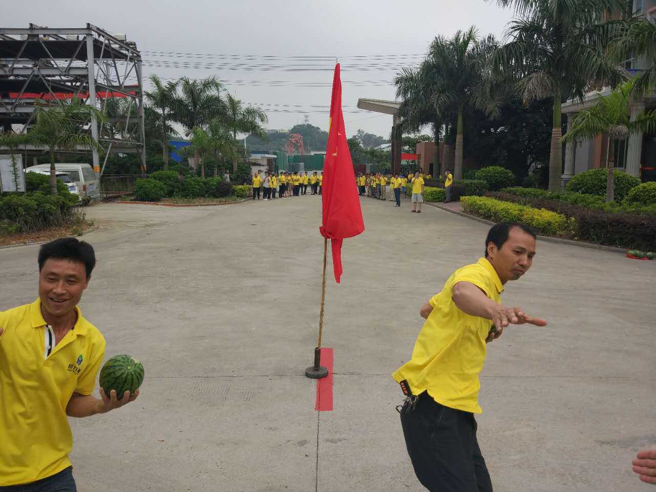 2.jpg